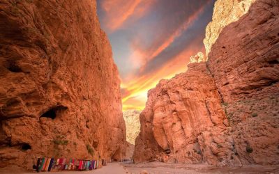 The Todgha Gorge: Morocco’s Grand Canyon of the Atlas