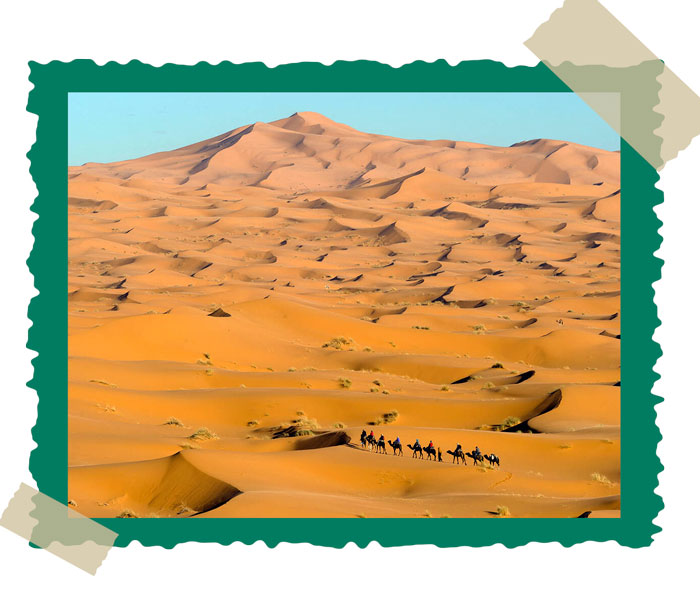 Desert Nights in Morocco