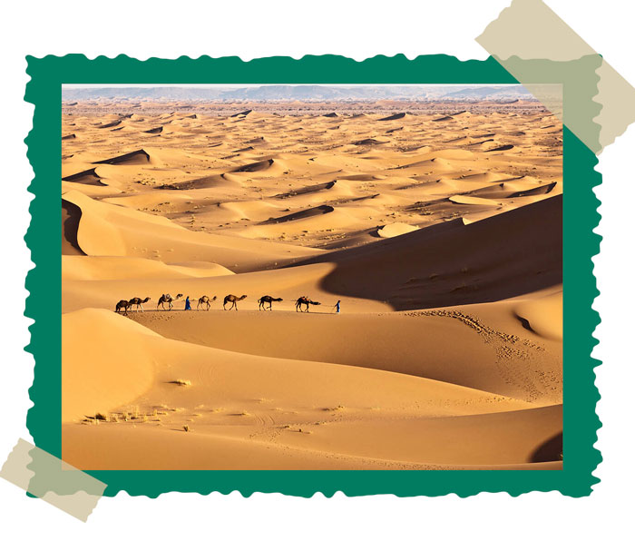 Desert Nights in Morocco