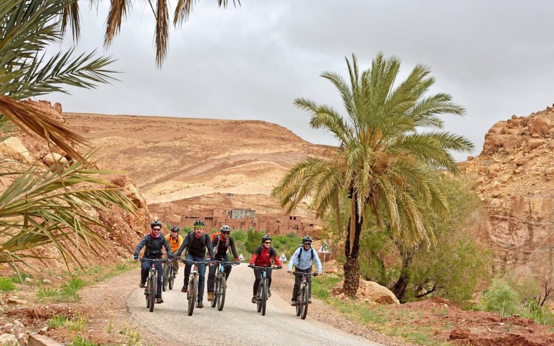 Top Places to Go Cycling in Morocco: Explore Mountains, Deserts, and Coastlines